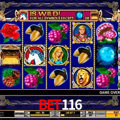Descubra o Mundo do Cassino Online com bet116